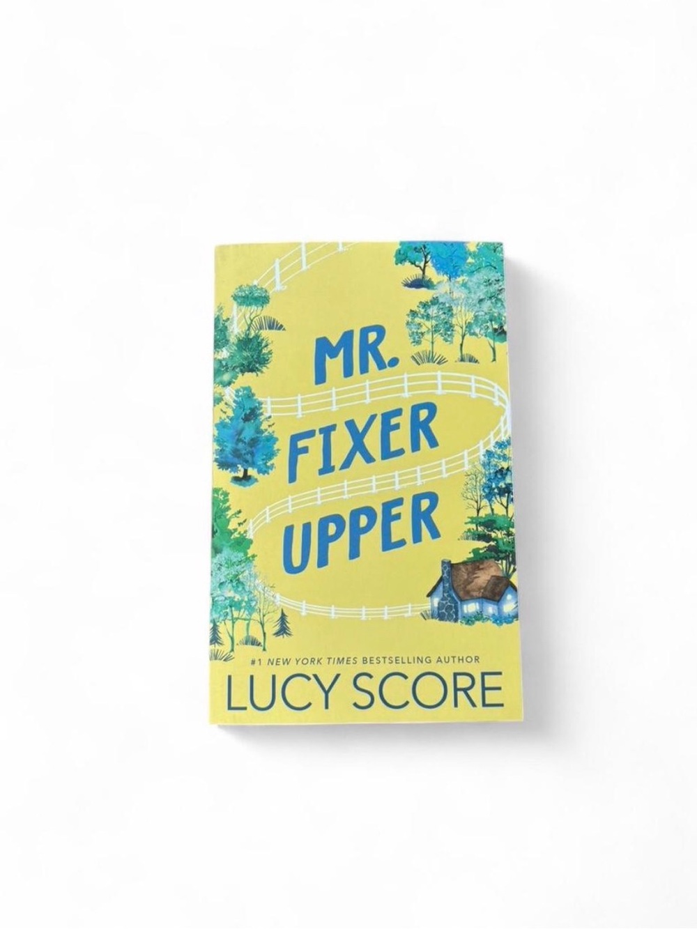 Mr. Fixer Upper by Lucy Score